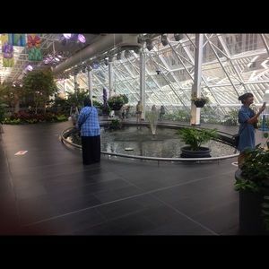 Meet your Posher, Elsie